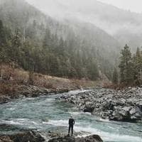 Logo Pędzel & Płótno