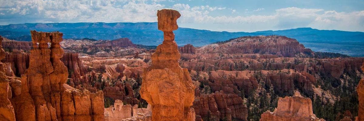 Ceramika Artystyczna